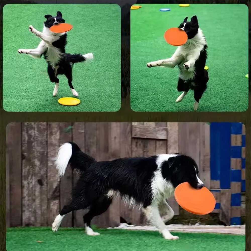 Flying Disc Dog Training Toy - จานร่อนสำหรับสุนัข ทำจาก TPR ของเล่นสัตว์เลี้ยงแบบอินเทอร์แอคทีฟ ฝึกสุนัข ลอยน้ำได้