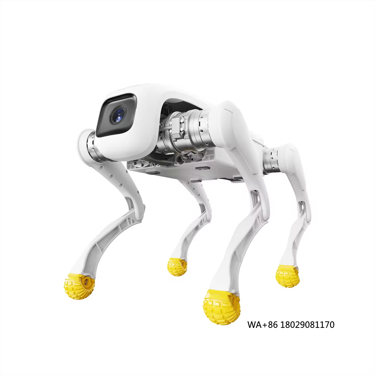 Dog Toys - หุ่นยนต์สุนัขดีไซน์ทันสมัย AI ของเล่นหุ่นยนต์อิเล็กทรอนิกส์ โครงสร้างโลหะ ควบคุมผ่านแอปและ Wi-Fi