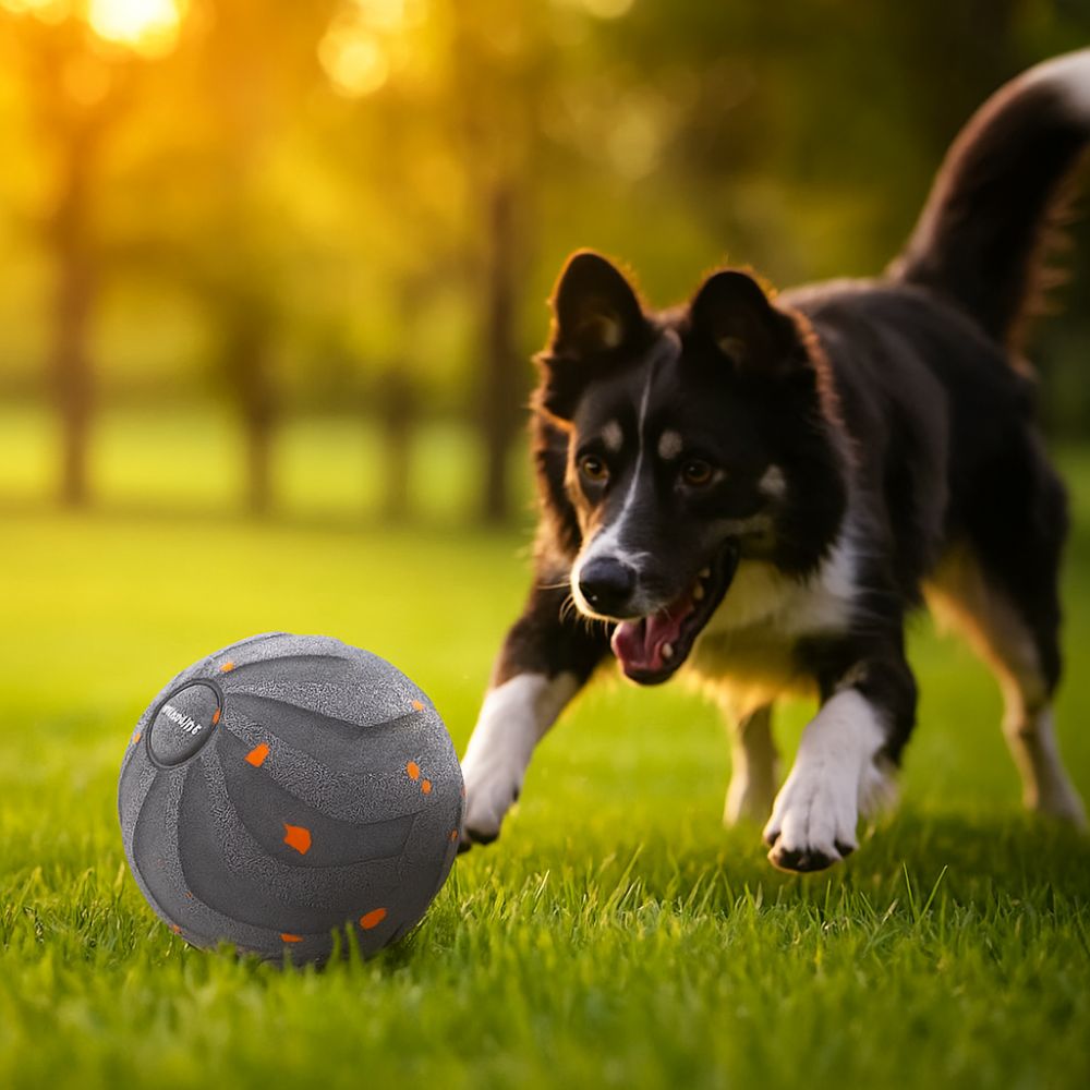 Automatic Moving Dog Ball - ลูกบอลของเล่นสุนัขอัจฉริยะ ทนทานต่อการกัด ทนทานต่อการสึกหรอ ของเล่นลูกบอลเคลื่อนที่อัตโนมัติพร้อมไฟ ชาร์จผ่าน USB