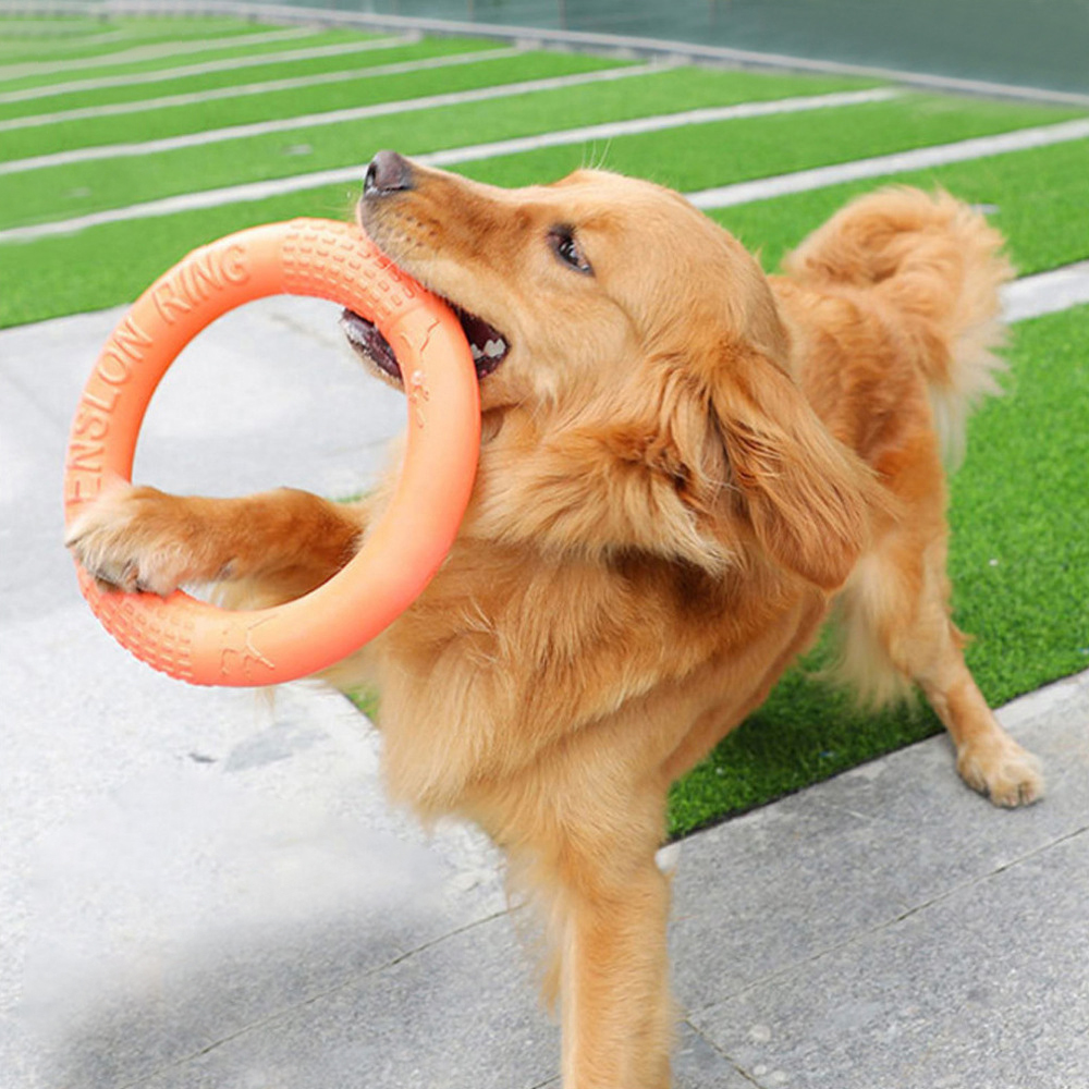 1ชิ้นของเล่นสุนัขสีส้มแหวนฝึกส - Flying Disc Dog Training Toy บทวิจารณ์และราคา