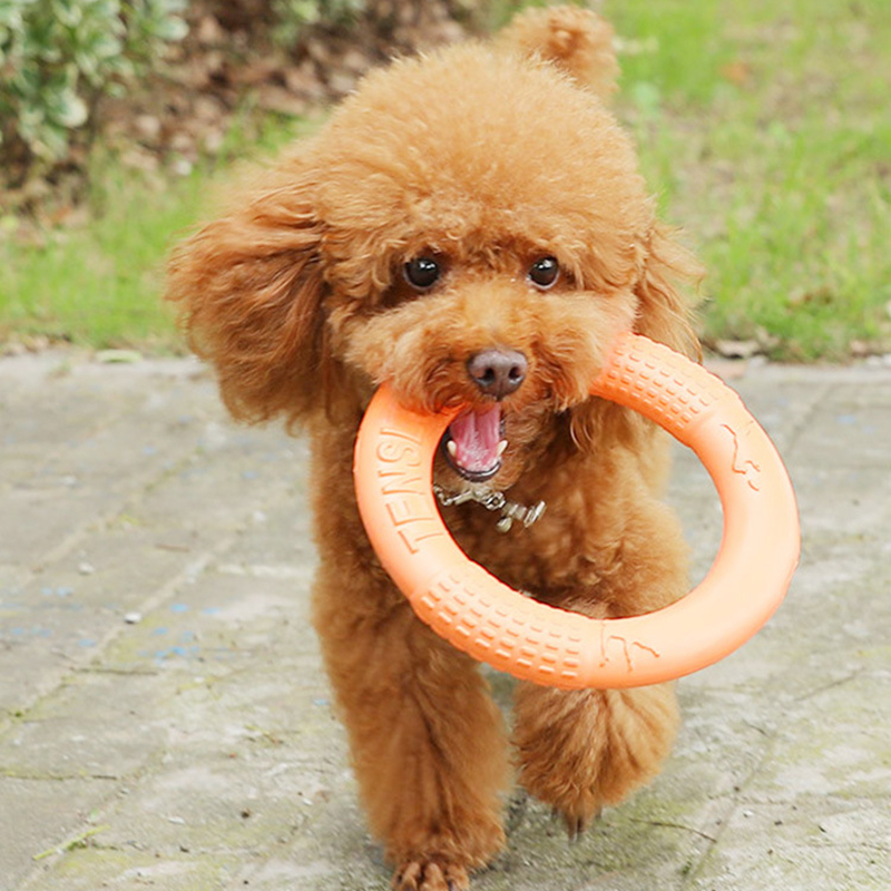 1ชิ้นของเล่นสุนัขสีส้มแหวนฝึกส - Flying Disc Dog Training Toy บทวิจารณ์และราคา