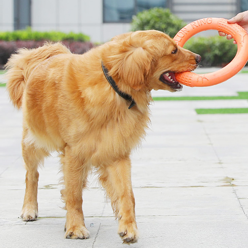 1ชิ้นของเล่นสุนัขสีส้มแหวนฝึกส - Flying Disc Dog Training Toy บทวิจารณ์และราคา