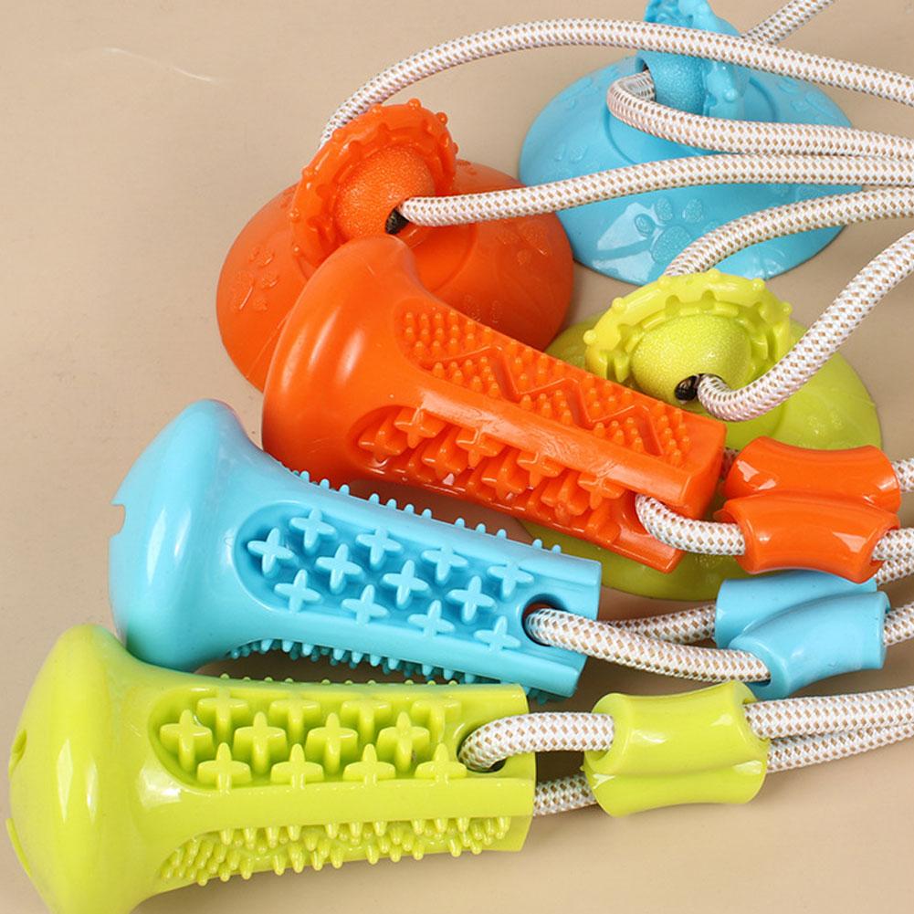 ของเล่นสุนัขแบบถ้วยดูด ของเล่น - Suction Cup Dog Tug Toy บทวิจารณ์และราคา