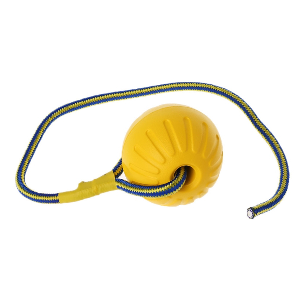 ของเล่นสุนัขลูกบอลเชือกกลางแจ้ - Suction Cup Dog Tug Toy บทวิจารณ์และราคา