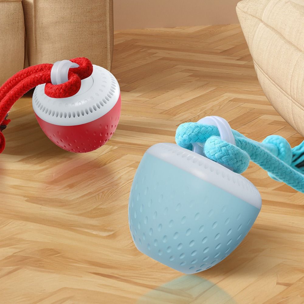 ลูกบอลของเล่นสัตว์เลี้ยงอัจฉริ - Automatic Moving Dog Ball บทวิจารณ์และราคา