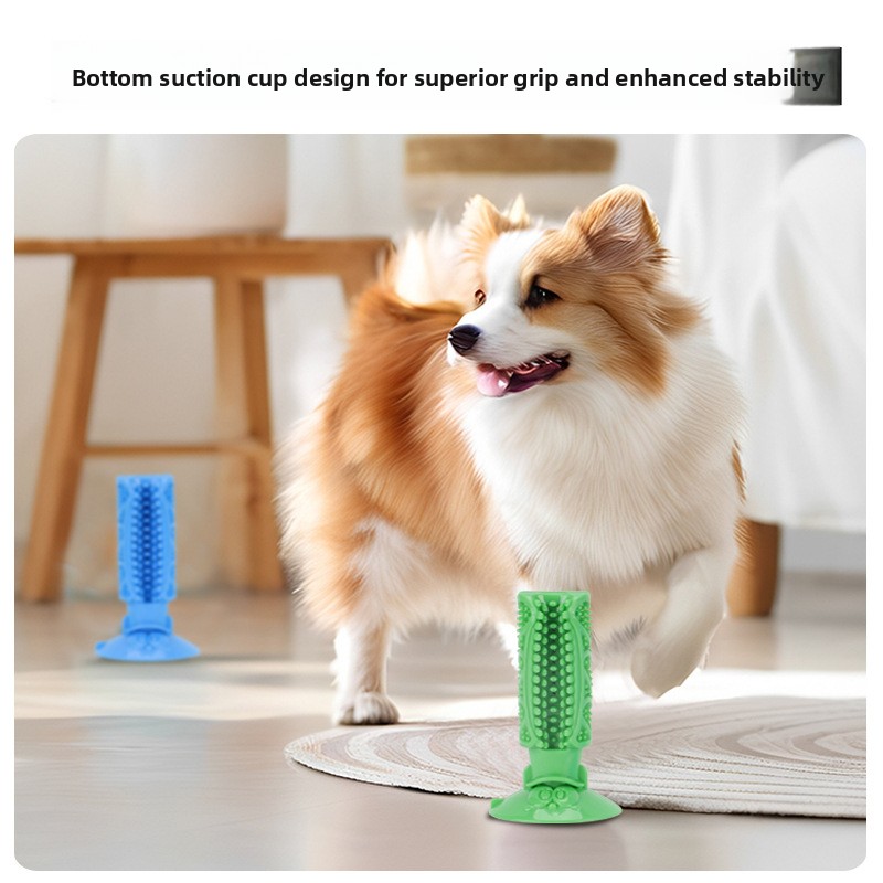 ของเล่นขัดฟันสุนัขแบบแท่งยางพร - Teeth Cleaning Dog Chew Bone บทวิจารณ์และราคา