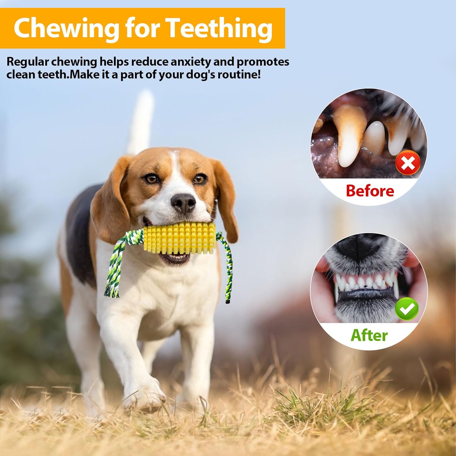 ของเล่นเคี้ยวรูปข้าวโพดสำหรับส - Dog Rope Toy Aggressive Chewers บทวิจารณ์และราคา