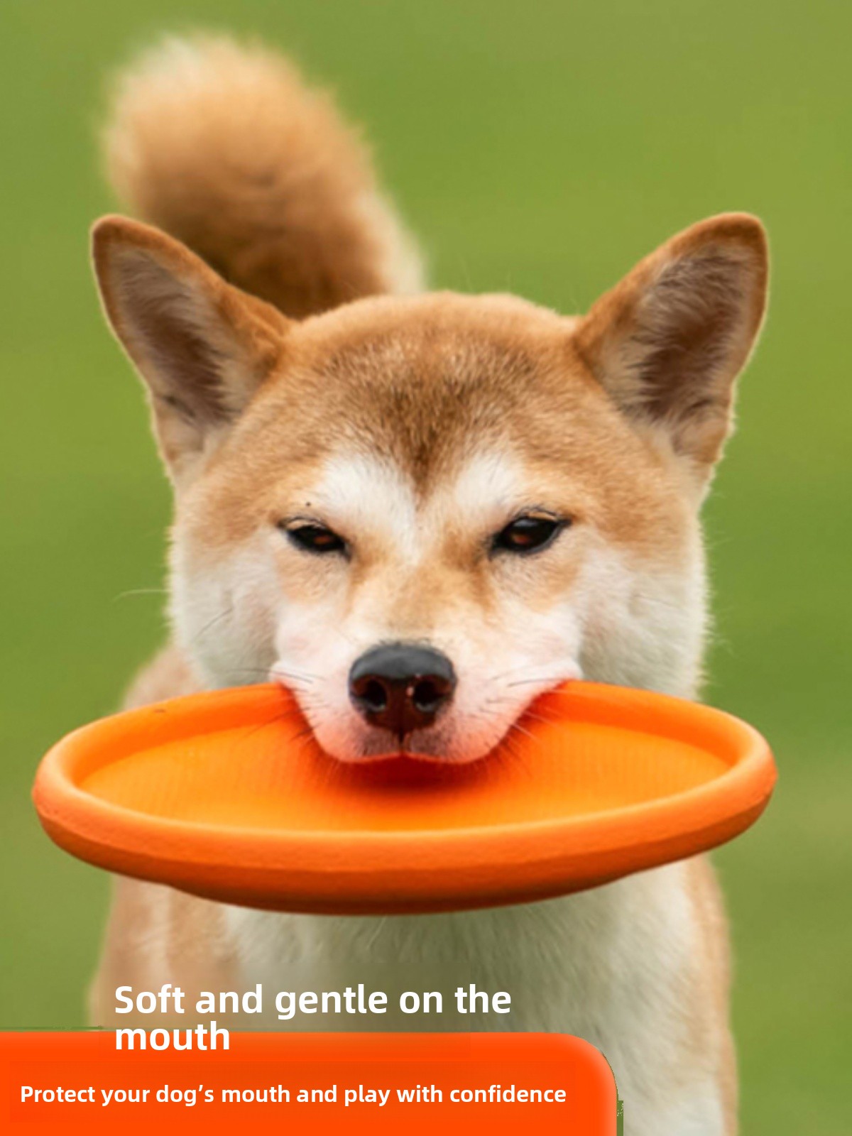 จานร่อนสำหรับสุนัข ของเล่นนุ่ม - Flying Disc Dog Training Toy บทวิจารณ์และราคา