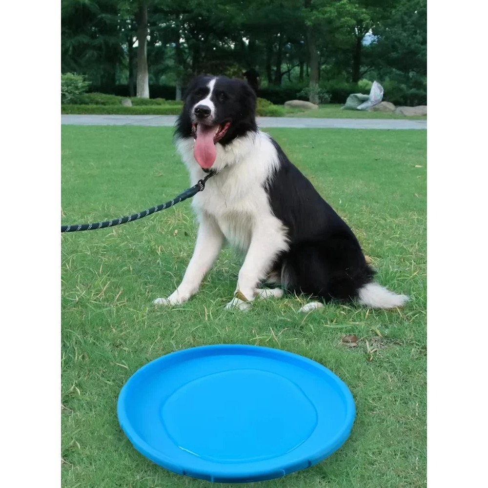 จานร่อนสำหรับสุนัข ทำจาก TPR ข - Flying Disc Dog Training Toy บทวิจารณ์และราคา