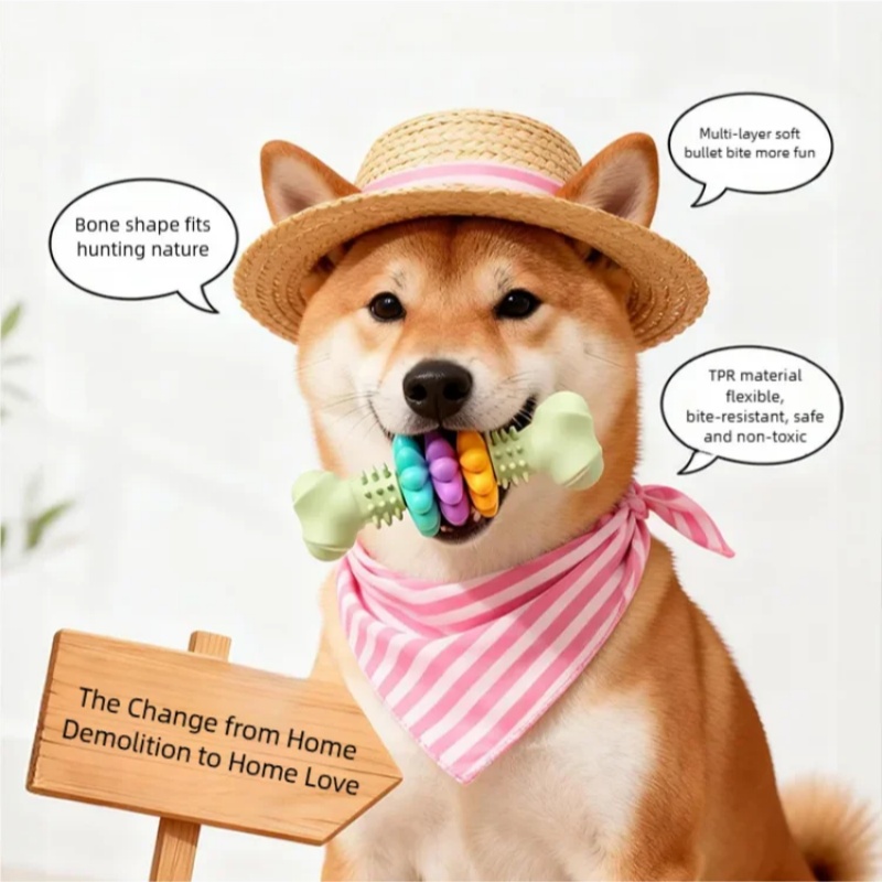 ของเล่นเคี้ยวสำหรับสุนัข TPR ท - Teeth Cleaning Dog Chew Bone บทวิจารณ์และราคา