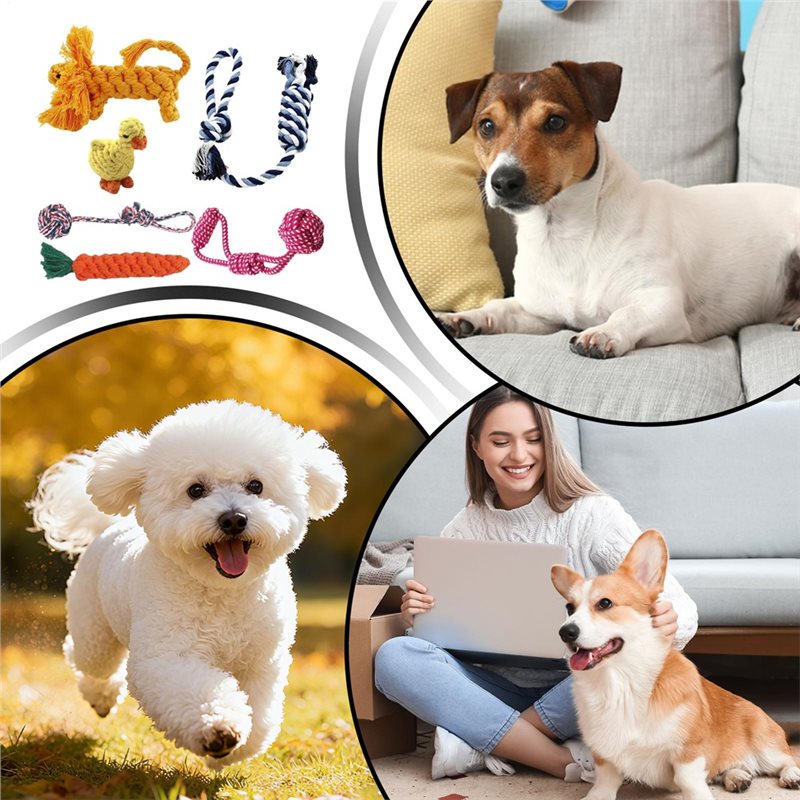 เชือกสำหรับสุนัข 6 ชิ้น ทำจากผ - Dog Rope Toy Aggressive Chewers บทวิจารณ์และราคา