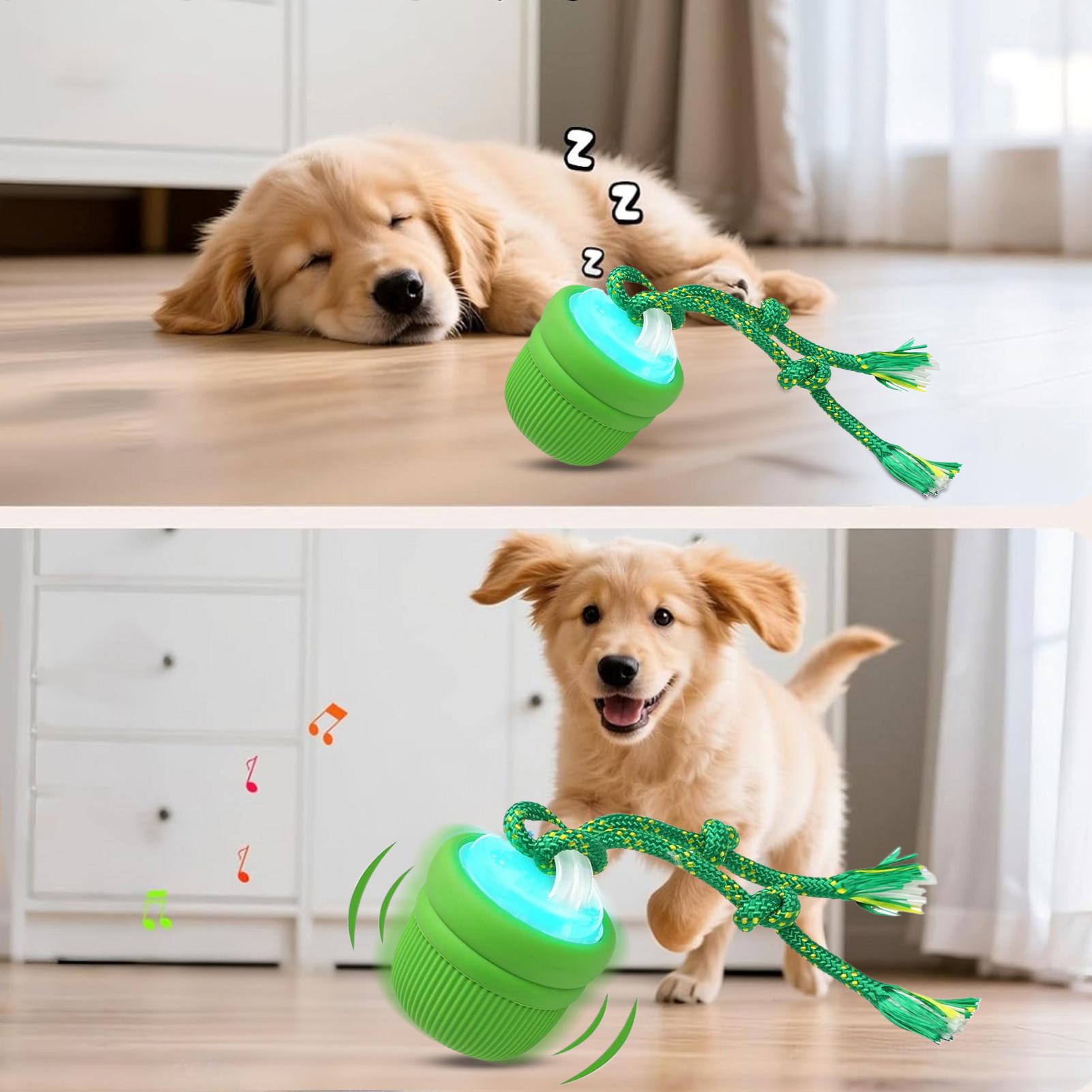 ลูกบอลสุนัขแบบอินเทอร์แอคทีฟ เ - Automatic Moving Dog Ball บทวิจารณ์และราคา