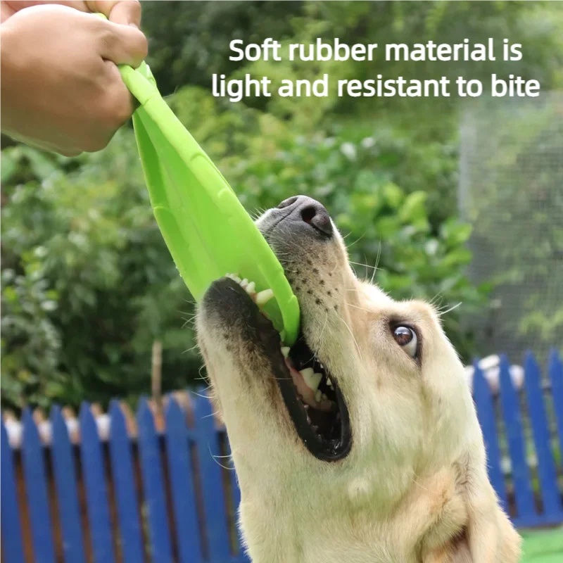 ของเล่นจานบินกันกัดสำหรับสุนัข - Flying Disc Dog Training Toy บทวิจารณ์และราคา