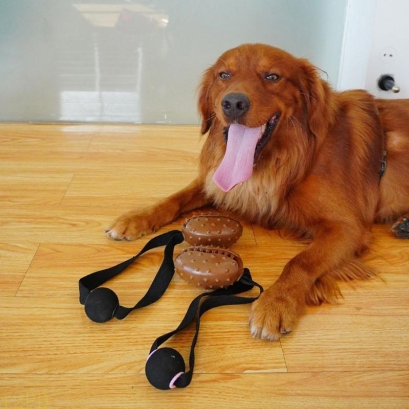 12PD เชือกกาแฟ Bean สุนัข Chew - Dog Rope Toy Aggressive Chewers บทวิจารณ์และราคา