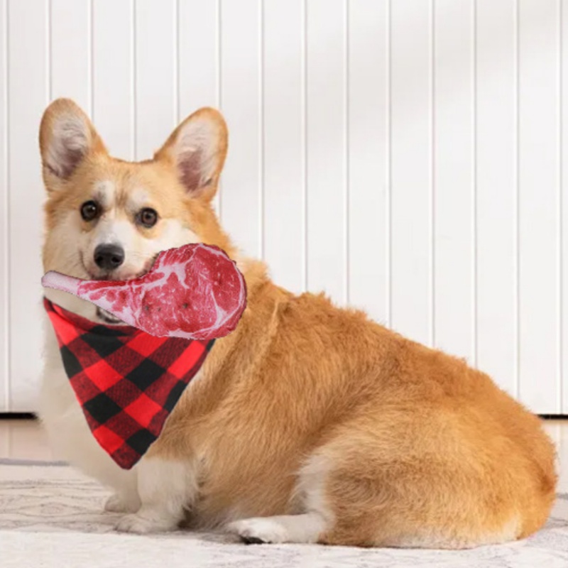 ของเล่นสุนัขรูปสเต็กมีเสียงบีบ - Teeth Cleaning Dog Chew Bone บทวิจารณ์และราคา