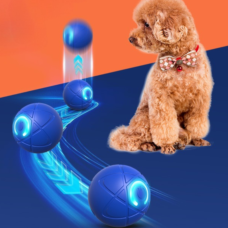 สมาร์ทของเล่นสุนัข Ball USB อั - Automatic Moving Dog Ball บทวิจารณ์และราคา