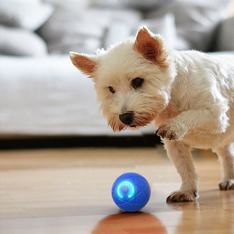 สมาร์ทของเล่นสุนัข Ball USB อั - Automatic Moving Dog Ball บทวิจารณ์และราคา