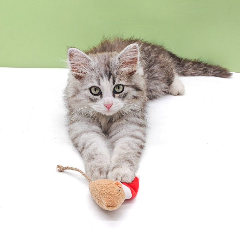 ของเล่นแมวแบบกดเคี้ยว 5 ชิ้น แ - Catnip Interactive Plush Mouse บทวิจารณ์และราคา