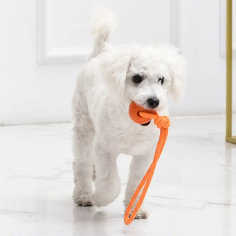 ลูกบอลสำหรับฝึกสุนัขของเล่นแบบ - Suction Cup Dog Tug Toy บทวิจารณ์และราคา