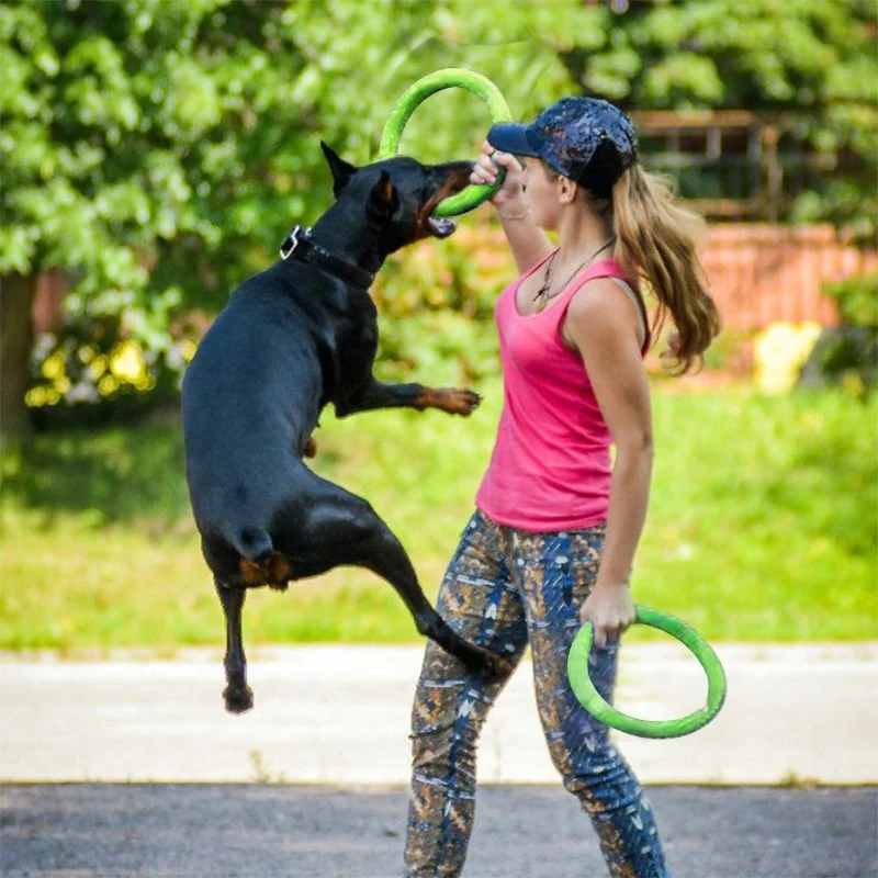 ของเล่นสุนัข จานร่อน EVA ของเล - Flying Disc Dog Training Toy บทวิจารณ์และราคา