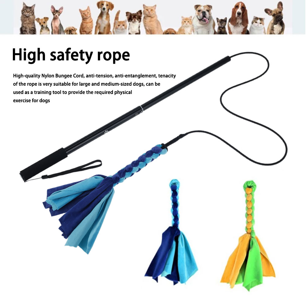 Retractable Dog Stick Interact - Indestructible Dog Chew Toy บทวิจารณ์และราคา