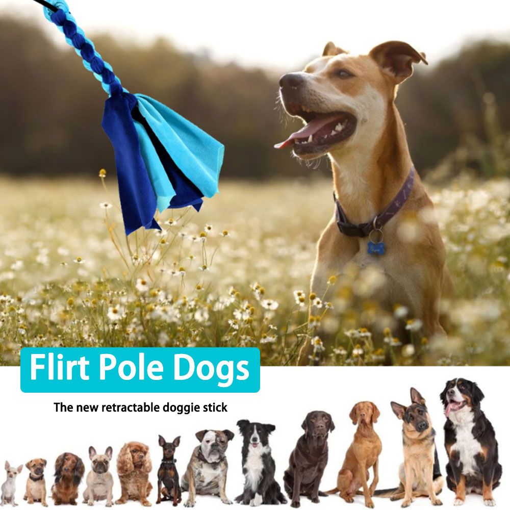 Retractable Dog Stick Interact - Indestructible Dog Chew Toy บทวิจารณ์และราคา