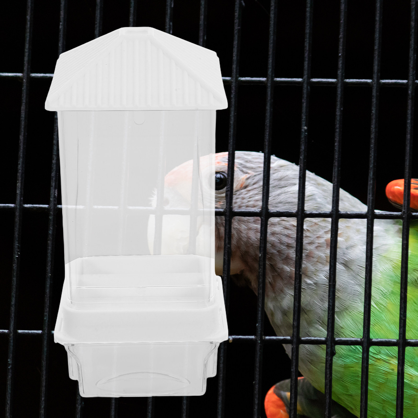 เครื่องให้อาหารนกอัตโนมัติ กล่ - Pet Feeders บทวิจารณ์และราคา