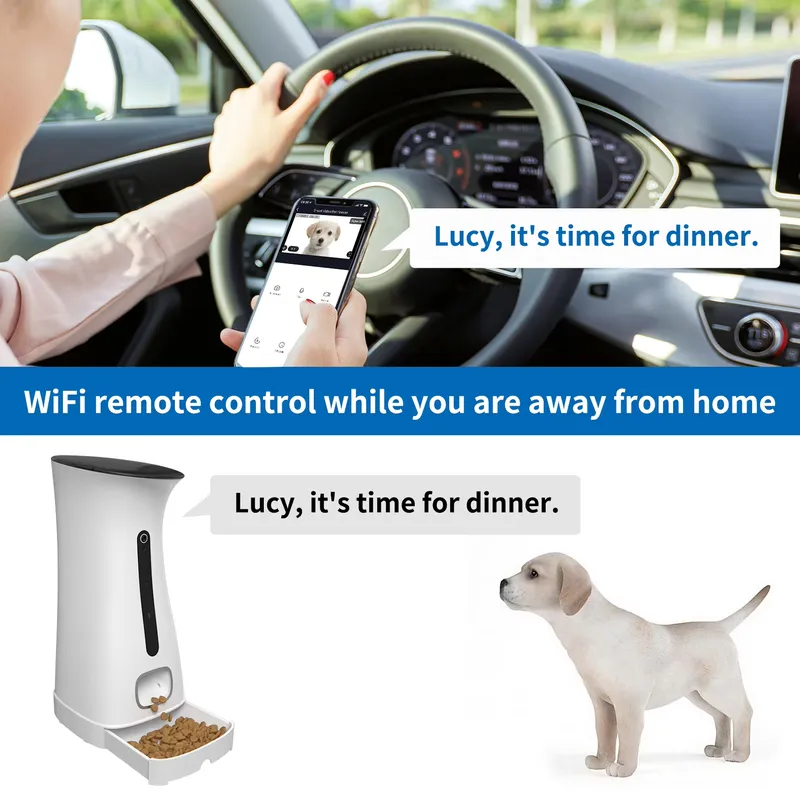 กล้องให้อาหารสัตว์เลี้ยงแบบ Wi - Pet Feeders บทวิจารณ์และราคา
