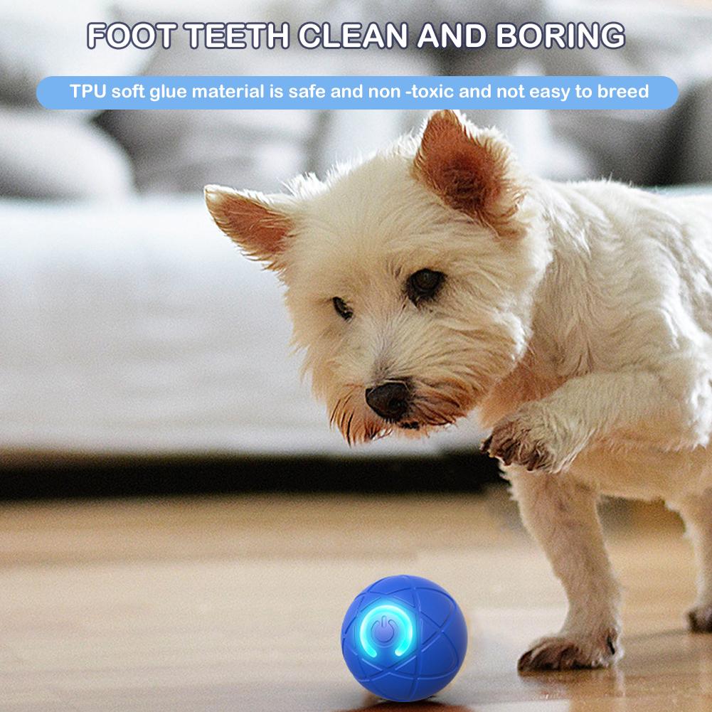 ของเล่นสัตว์เลี้ยงอิเล็กทรอนิก - Automatic Moving Dog Ball บทวิจารณ์และราคา