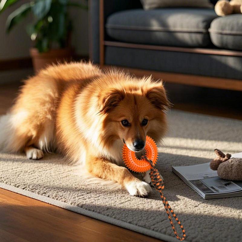 ของเล่น Squeaky สําหรับสุนัข S - Dog Rope Toy Aggressive Chewers บทวิจารณ์และราคา