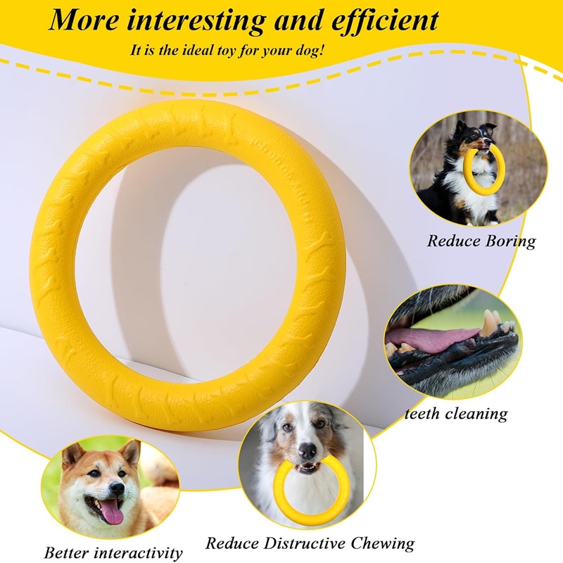 ของเล่นสุนัข จานบินสำหรับสัตว์ - Flying Disc Dog Training Toy บทวิจารณ์และราคา