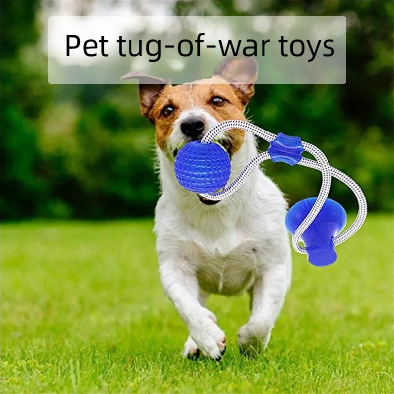 ของเล่นสุนัขแบบดูดติดแน่น ทนทา - Suction Cup Dog Tug Toy บทวิจารณ์และราคา
