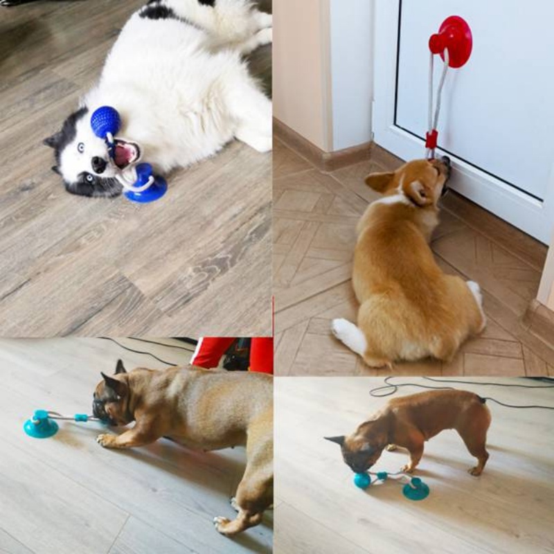 ของเล่นสุนัขแบบดูดติดแน่น ทนทา - Suction Cup Dog Tug Toy บทวิจารณ์และราคา