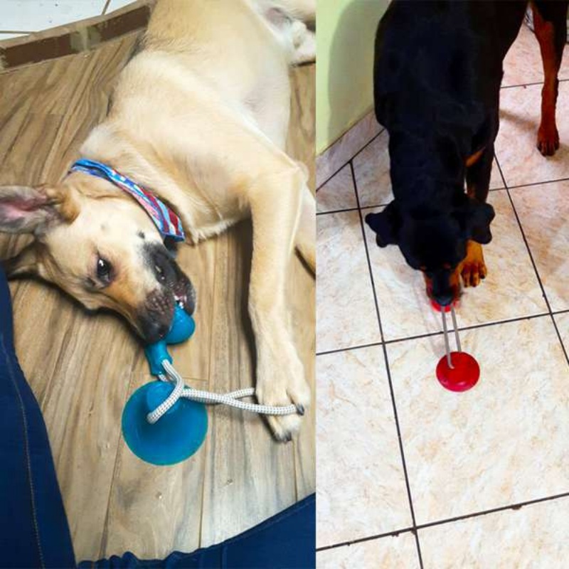 ของเล่นสุนัขแบบดูดติดแน่น ทนทา - Suction Cup Dog Tug Toy บทวิจารณ์และราคา