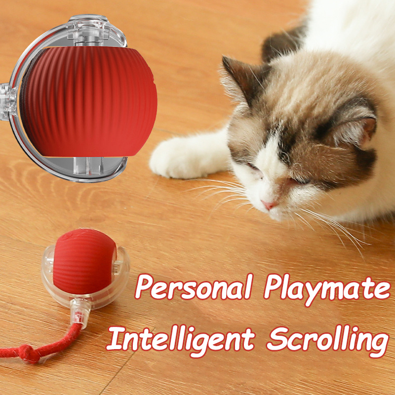 ของเล่นลูกบอลแมวแบบใหม่ ลูกบอล - Automatic Moving Dog Ball บทวิจารณ์และราคา