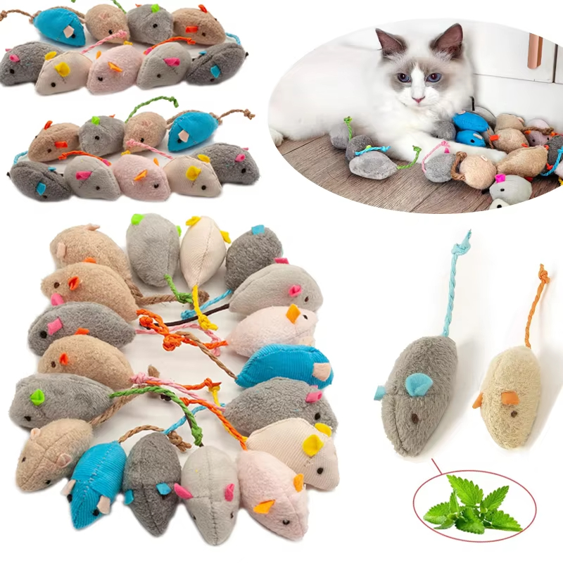 ของเล่นแมวรูปหนู 5 ชิ้น พร้อมแ - Catnip Interactive Plush Mouse บทวิจารณ์และราคา