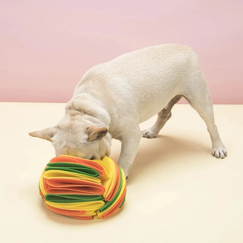 แผ่นรองฝึกการดมกลิ่นสำหรับสุนั - Snuffle Mat For Dogs บทวิจารณ์และราคา