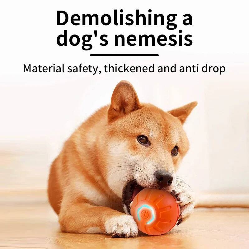 ของเล่นสุนัขอัจฉริยะ ลูกบอลอิเ - Automatic Moving Dog Ball บทวิจารณ์และราคา