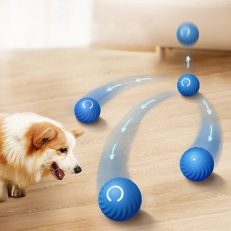 ของเล่นสุนัขอัจฉริยะแรงโน้มถ่ว - Suction Cup Dog Tug Toy บทวิจารณ์และราคา