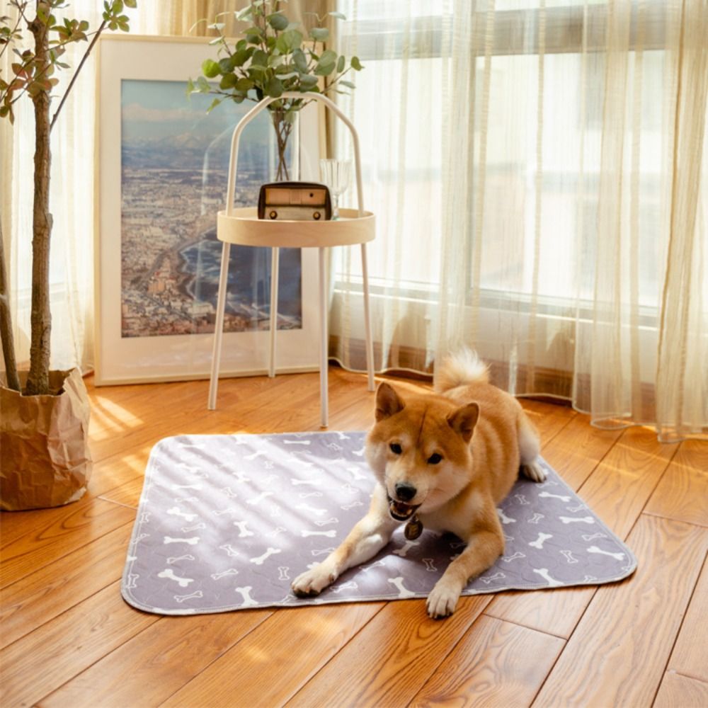 แผ่นรองนอนสัตว์เลี้ยงแบบซึมซับ - Pet Beds บทวิจารณ์และราคา
