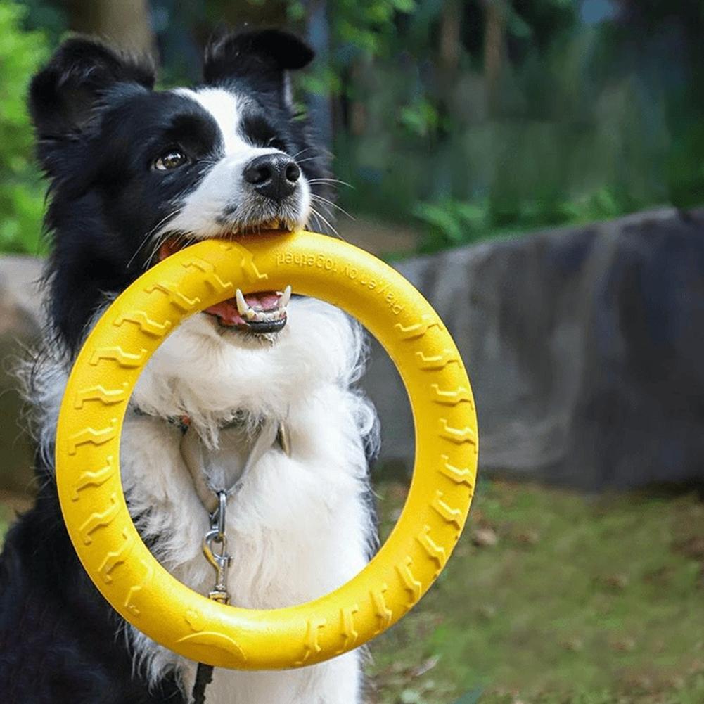 ของเล่นห่วงสำหรับสุนัข ทนทานต่ - Suction Cup Dog Tug Toy บทวิจารณ์และราคา