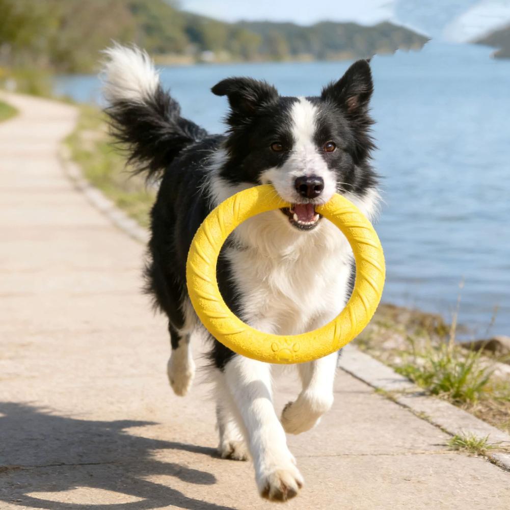 ของเล่นห่วงสำหรับสุนัข ทนทานต่ - Suction Cup Dog Tug Toy บทวิจารณ์และราคา