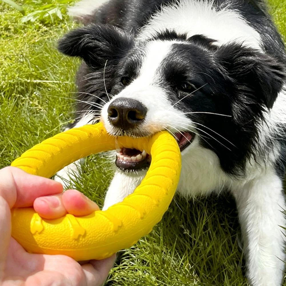 ของเล่นห่วงสำหรับสุนัข ทนทานต่ - Suction Cup Dog Tug Toy บทวิจารณ์และราคา