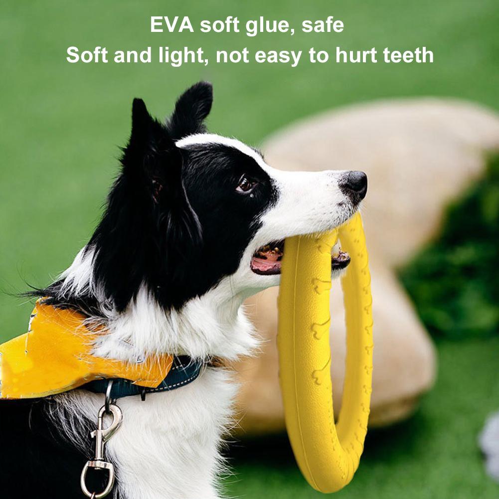 ของเล่นห่วงสำหรับสุนัข ทนทานต่ - Suction Cup Dog Tug Toy บทวิจารณ์และราคา