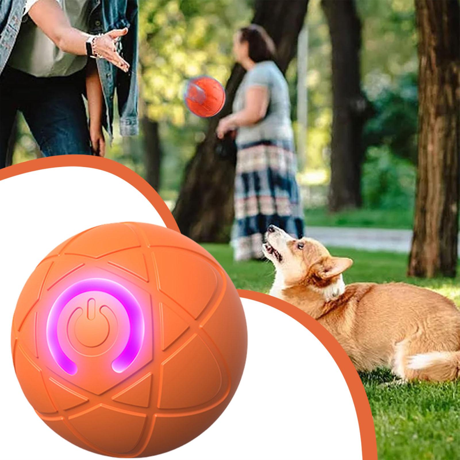 ของเล่นสุนัข ลูกบอลกลิ้งอัตโนม - Automatic Moving Dog Ball บทวิจารณ์และราคา