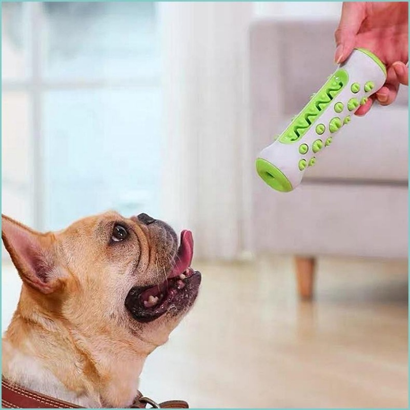ของเล่นเคี้ยวสำหรับสุนัข TPR แ - Teeth Cleaning Dog Chew Bone บทวิจารณ์และราคา
