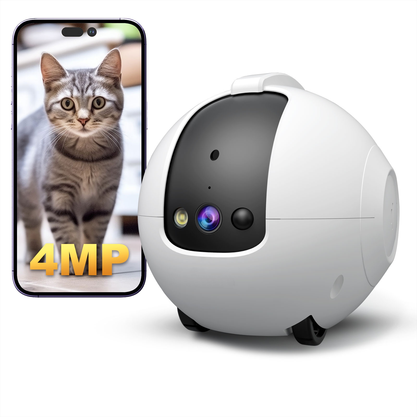 กล้องสำหรับสัตว์เลี้ยง รูปแบบห - Dog Toys บทวิจารณ์และราคา