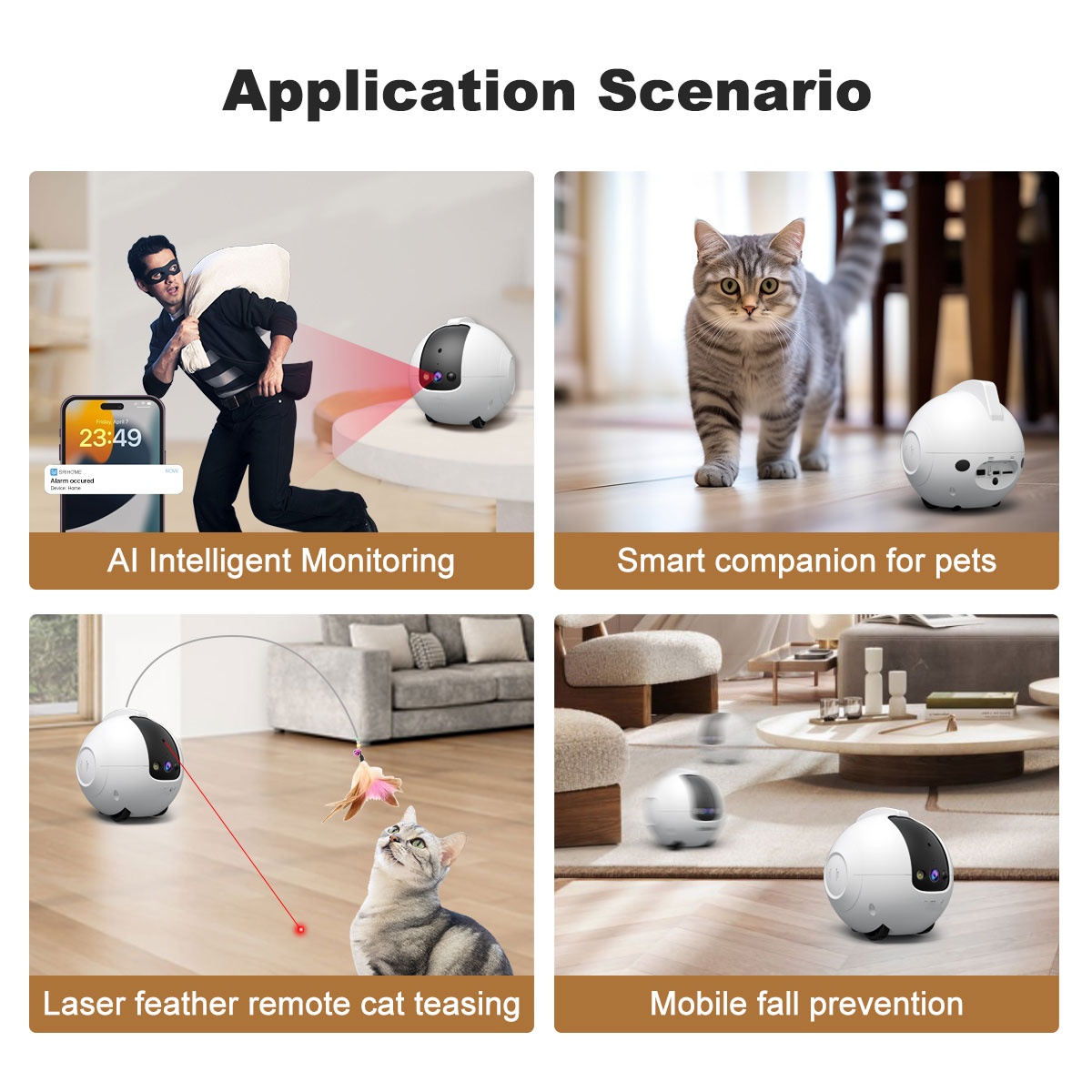 กล้องสำหรับสัตว์เลี้ยง รูปแบบห - Dog Toys บทวิจารณ์และราคา