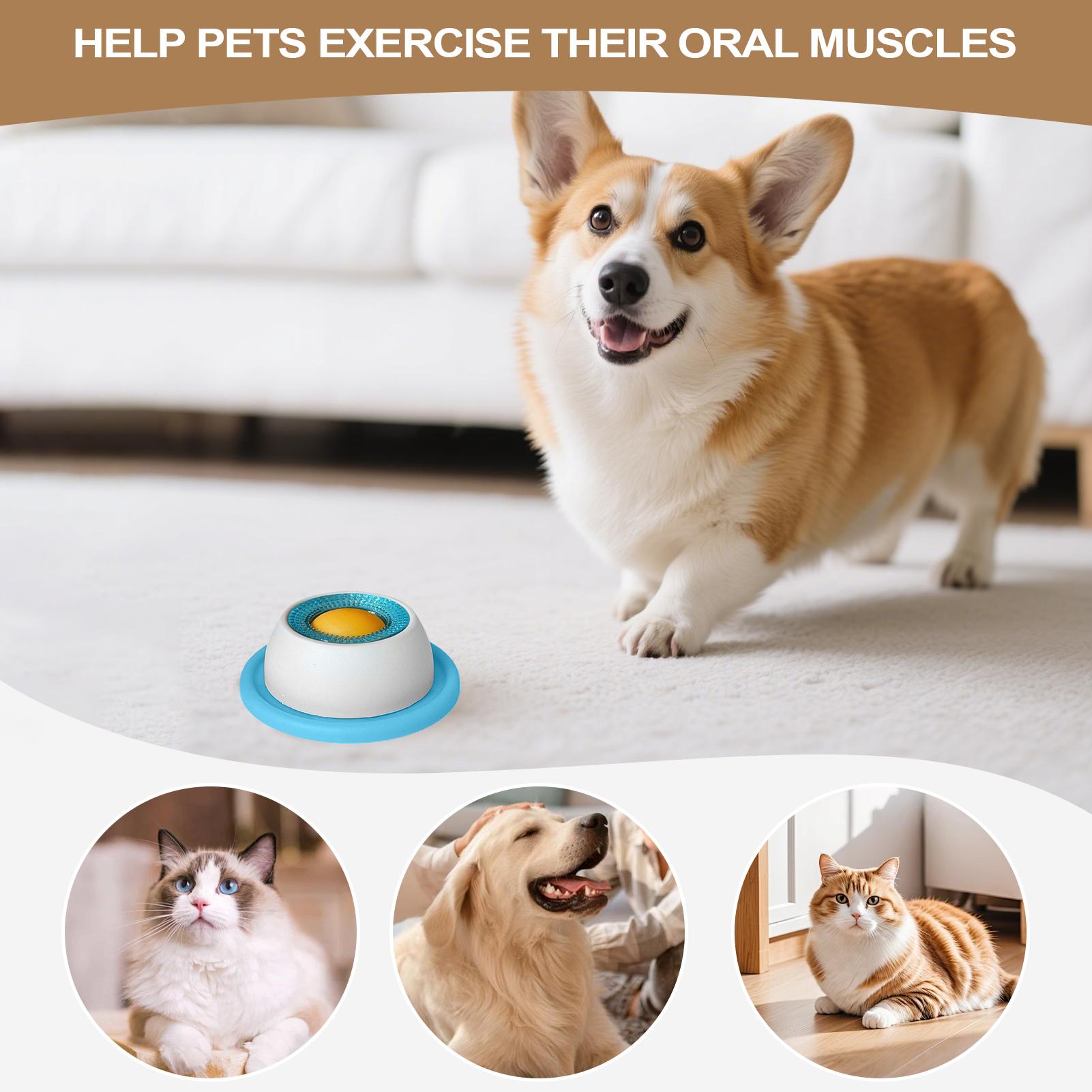 อุปกรณ์ให้อาหารสัตว์เลี้ยง ของ - Dog Puzzle Feeder Toy บทวิจารณ์และราคา